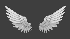 Wings 3D model