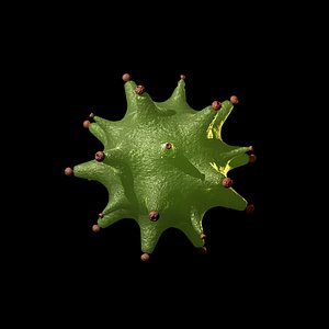 maya microscopic flu virus