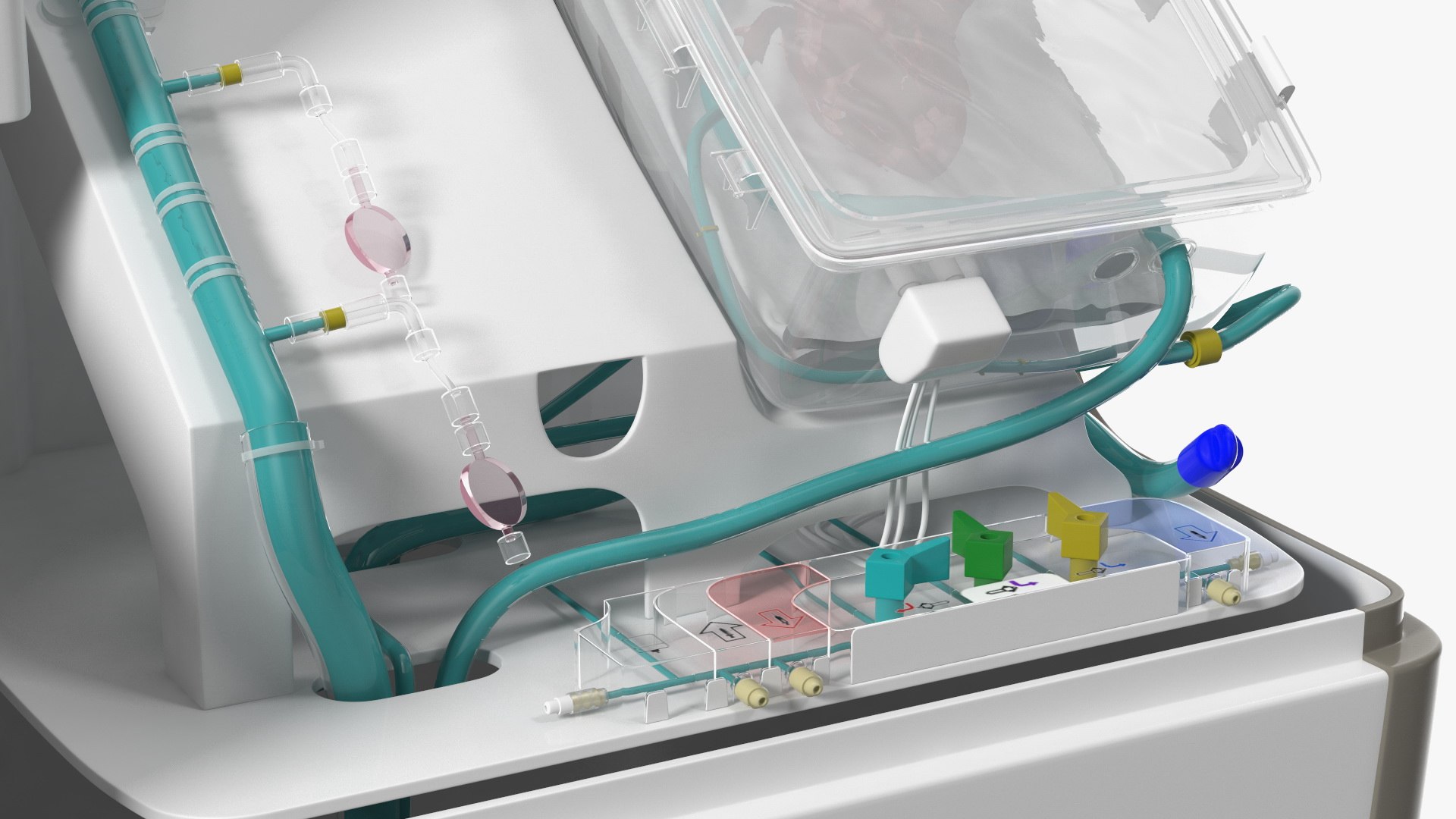 3D Organ Care System with Heart model https://p.turbosquid.com/ts-thumb/bv/i1nVwf/c9/organcaresystemwithheartmb3dmodel022/jpg/1638523788/1920x1080/fit_q87/86faab7a2c19d7cf4ec85675198d5cfa7e4f05e8/organcaresystemwithheartmb3dmodel022.jpg