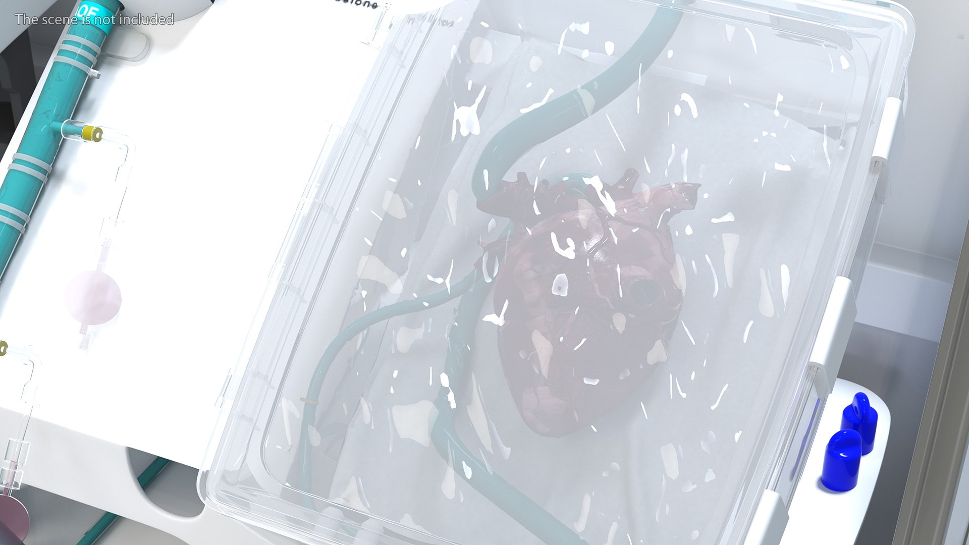 3D Organ Care System with Heart model https://p.turbosquid.com/ts-thumb/bv/i1nVwf/kv/organcaresystemwithheartmb3dmodel007/jpg/1638523749/1920x1080/fit_q87/e7c364d0b09accd6d831cbff8ab1aa0f6fe3aaba/organcaresystemwithheartmb3dmodel007.jpg
