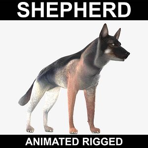 realistic german shepherd rigged 3d model