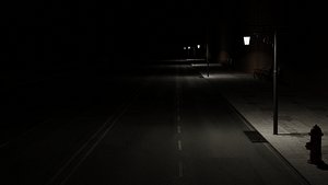 3D Night Street View