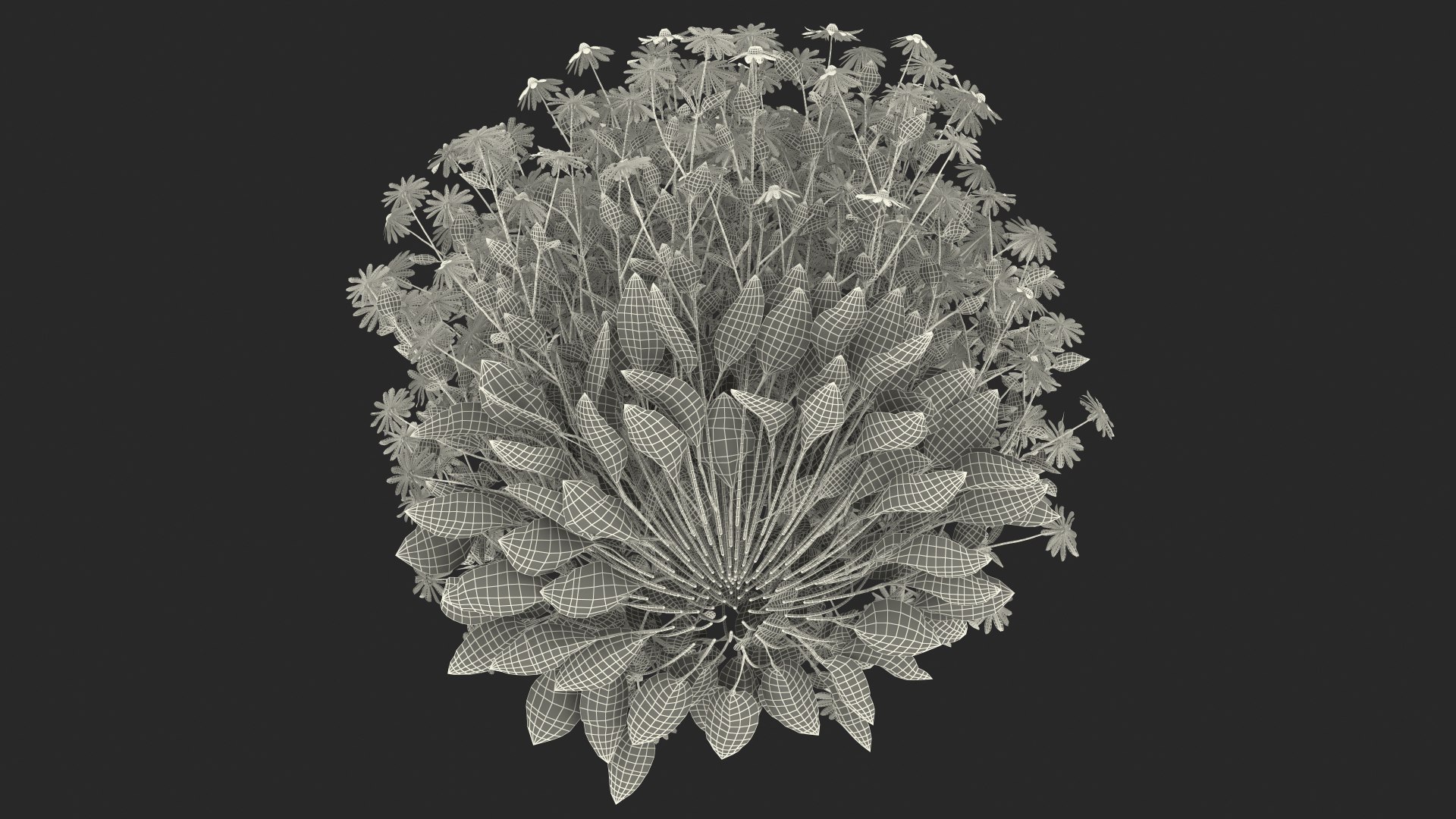 black eyed susan rudbeckia 3D model https://p.turbosquid.com/ts-thumb/bv/wEpkZ5/DBNGfpwz/blackeyedsusanrudbeckiahirtaorangec4dmodel028/jpg/1594061024/1920x1080/fit_q87/6a81a4ae1cc90c68e8639b29a83ae85ba1d6b076/blackeyedsusanrudbeckiahirtaorangec4dmodel028.jpg