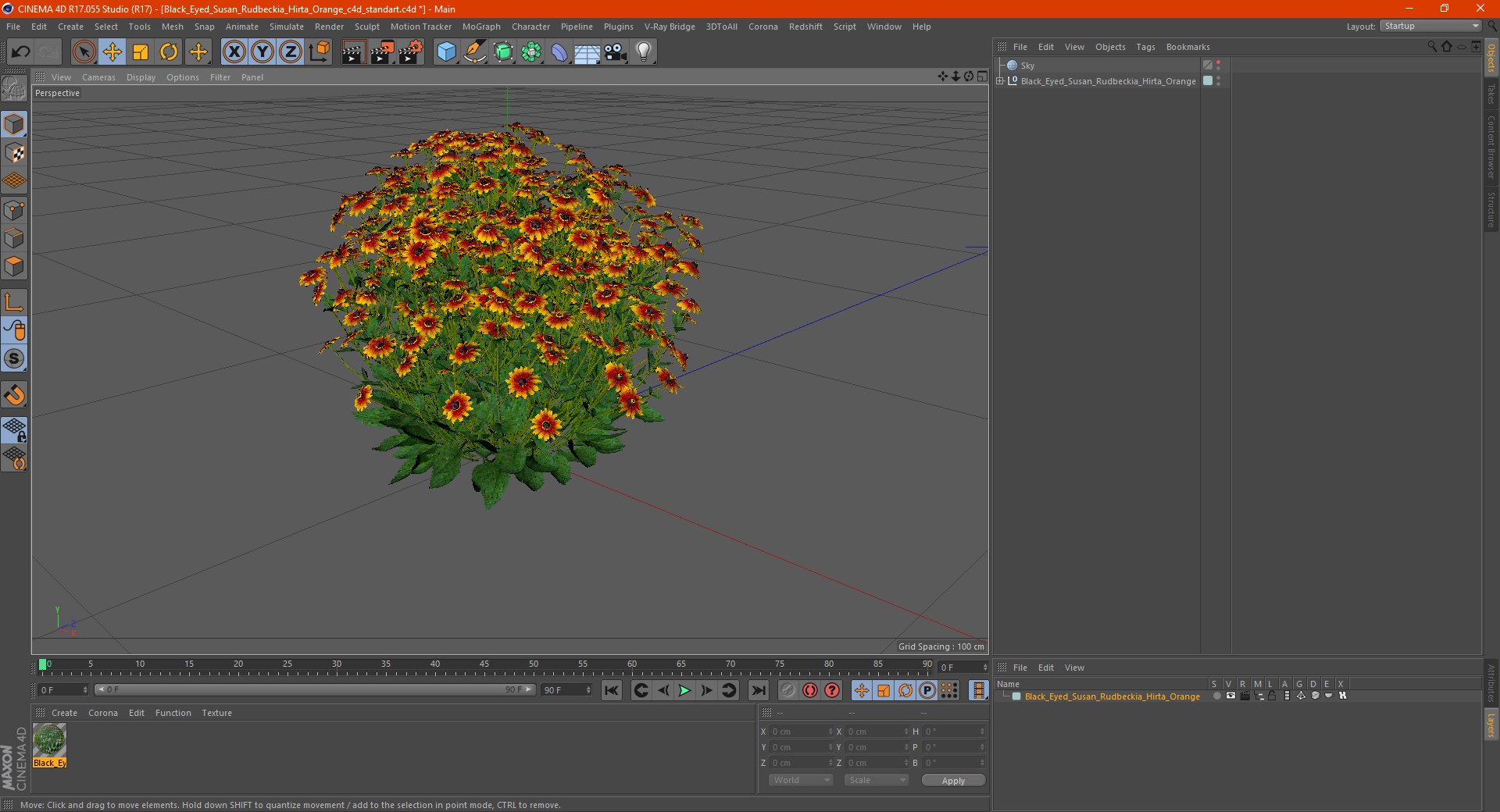 black eyed susan rudbeckia 3D model https://p.turbosquid.com/ts-thumb/bv/wEpkZ5/GTKVeXxV/blackeyedsusanrudbeckiahirtaorangec4dmodel017/jpg/1594060930/1920x1080/fit_q87/765d66dc5c83ff4aaa0f87bbbbfe95ff32f05b26/blackeyedsusanrudbeckiahirtaorangec4dmodel017.jpg
