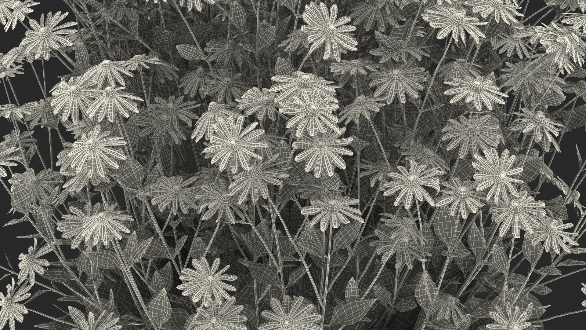 black eyed susan rudbeckia 3D model https://p.turbosquid.com/ts-thumb/bv/wEpkZ5/IzuYSYIA/blackeyedsusanrudbeckiahirtaorangec4dmodel024/jpg/1594060992/1920x1080/fit_q87/62f482ac262303aa176fc9770edbe25117754b8f/blackeyedsusanrudbeckiahirtaorangec4dmodel024.jpg