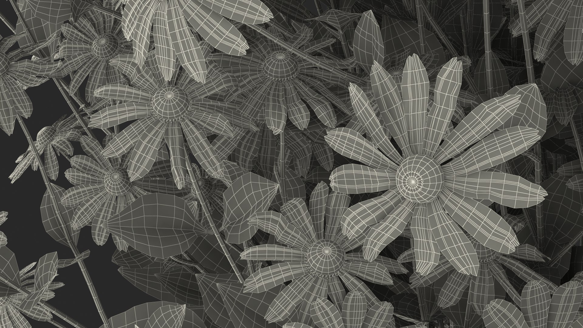 black eyed susan rudbeckia 3D model https://p.turbosquid.com/ts-thumb/bv/wEpkZ5/PJWuBFtc/blackeyedsusanrudbeckiahirtaorangec4dmodel023/jpg/1594060984/1920x1080/fit_q87/7632fefae83a7444164562d6721e0397264f419c/blackeyedsusanrudbeckiahirtaorangec4dmodel023.jpg