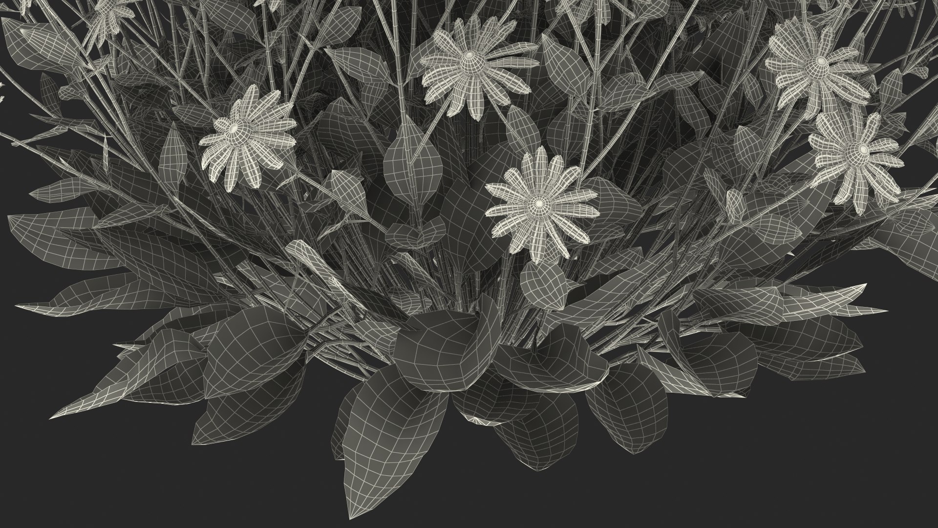 black eyed susan rudbeckia 3D model https://p.turbosquid.com/ts-thumb/bv/wEpkZ5/PNplBjgO/blackeyedsusanrudbeckiahirtaorangec4dmodel027/jpg/1594061016/1920x1080/fit_q87/acab2629bb17052481f188e9f2439a71ea76e484/blackeyedsusanrudbeckiahirtaorangec4dmodel027.jpg