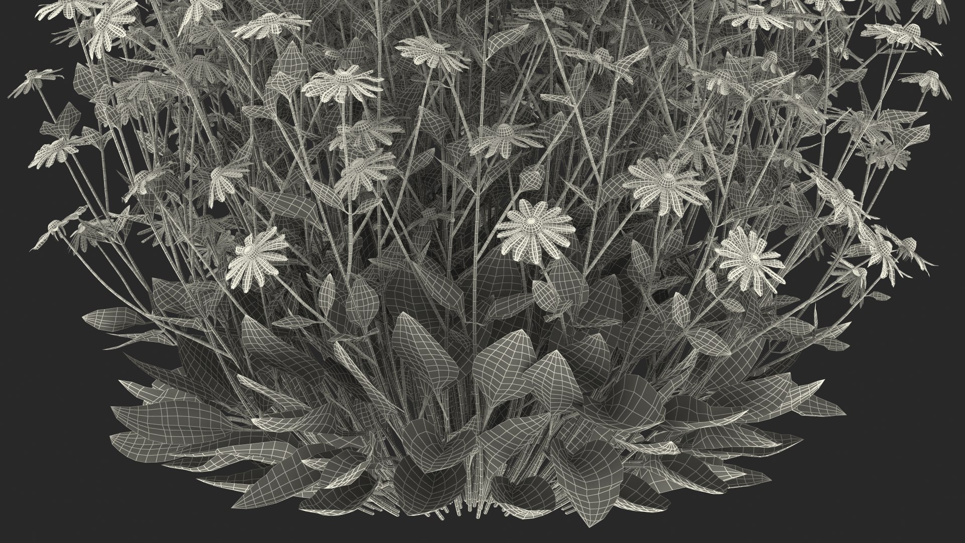 black eyed susan rudbeckia 3D model https://p.turbosquid.com/ts-thumb/bv/wEpkZ5/aZxu5ROb/blackeyedsusanrudbeckiahirtaorangec4dmodel025/jpg/1594061000/1920x1080/fit_q87/b6f06da3226c4a82f3d4061e9d7308d19e811d93/blackeyedsusanrudbeckiahirtaorangec4dmodel025.jpg