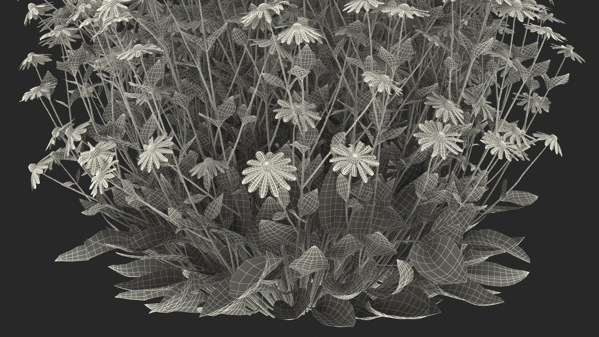 black eyed susan rudbeckia 3D model https://p.turbosquid.com/ts-thumb/bv/wEpkZ5/cpkUMFRb/blackeyedsusanrudbeckiahirtaorangec4dmodel026/jpg/1594061008/1920x1080/fit_q87/bb32102fe6f83fe5a8cecb11570079fde4013149/blackeyedsusanrudbeckiahirtaorangec4dmodel026.jpg
