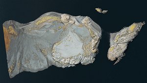3D Rocky Beach Coastline- 3D PBR Model model