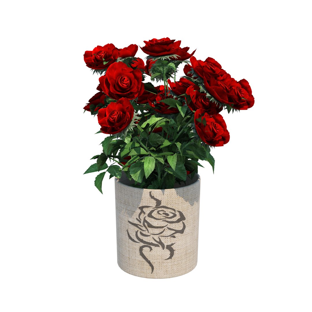 Red Rose Planter And Vase 3D - TurboSquid 2023215