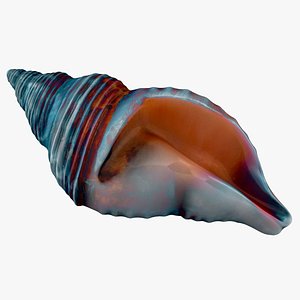3D model sea shell blue