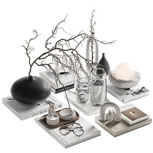 Decorative Set 21 model