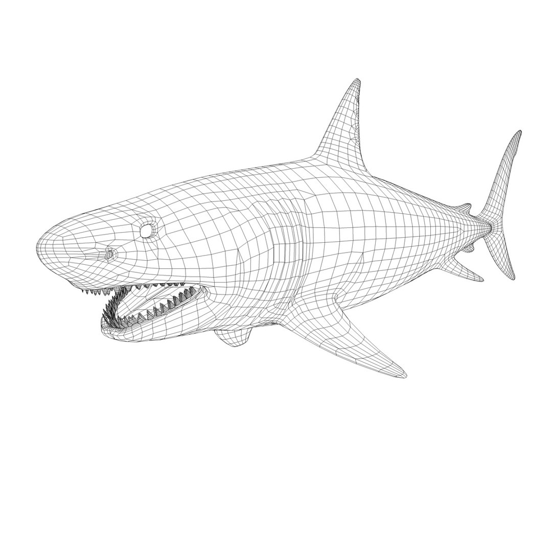 great white shark c4d https://p.turbosquid.com/ts-thumb/bw/IsrUtf/S1ePchXL/010/jpg/1386512623/1920x1080/fit_q87/651c40f73411f33f3e5bcb631468e446525b83e7/010.jpg