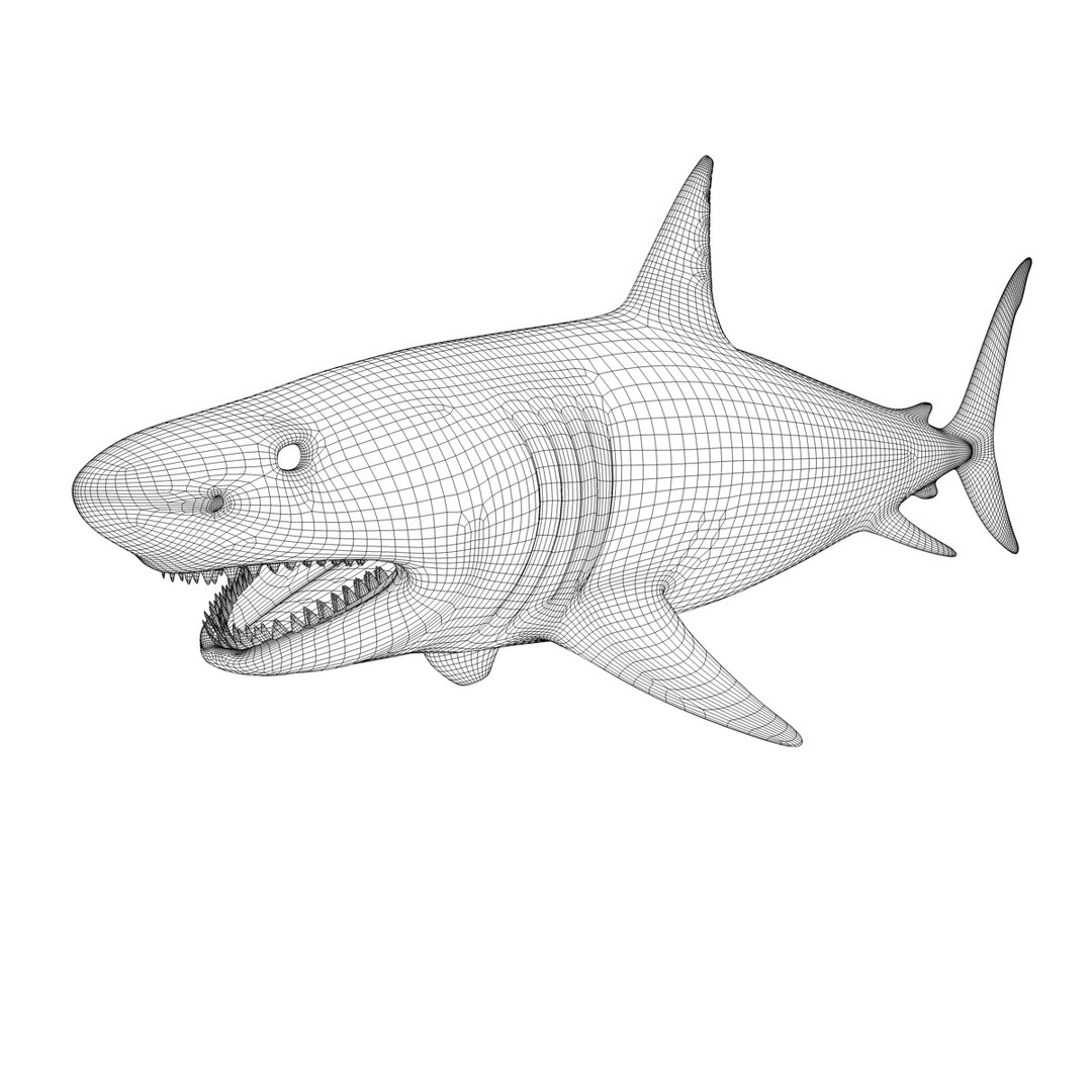 great white shark c4d https://p.turbosquid.com/ts-thumb/bw/IsrUtf/pKYP9lM5/011/jpg/1386512623/1920x1080/fit_q87/626b298c787d1d3a0795851ed69ba72255faa2ef/011.jpg