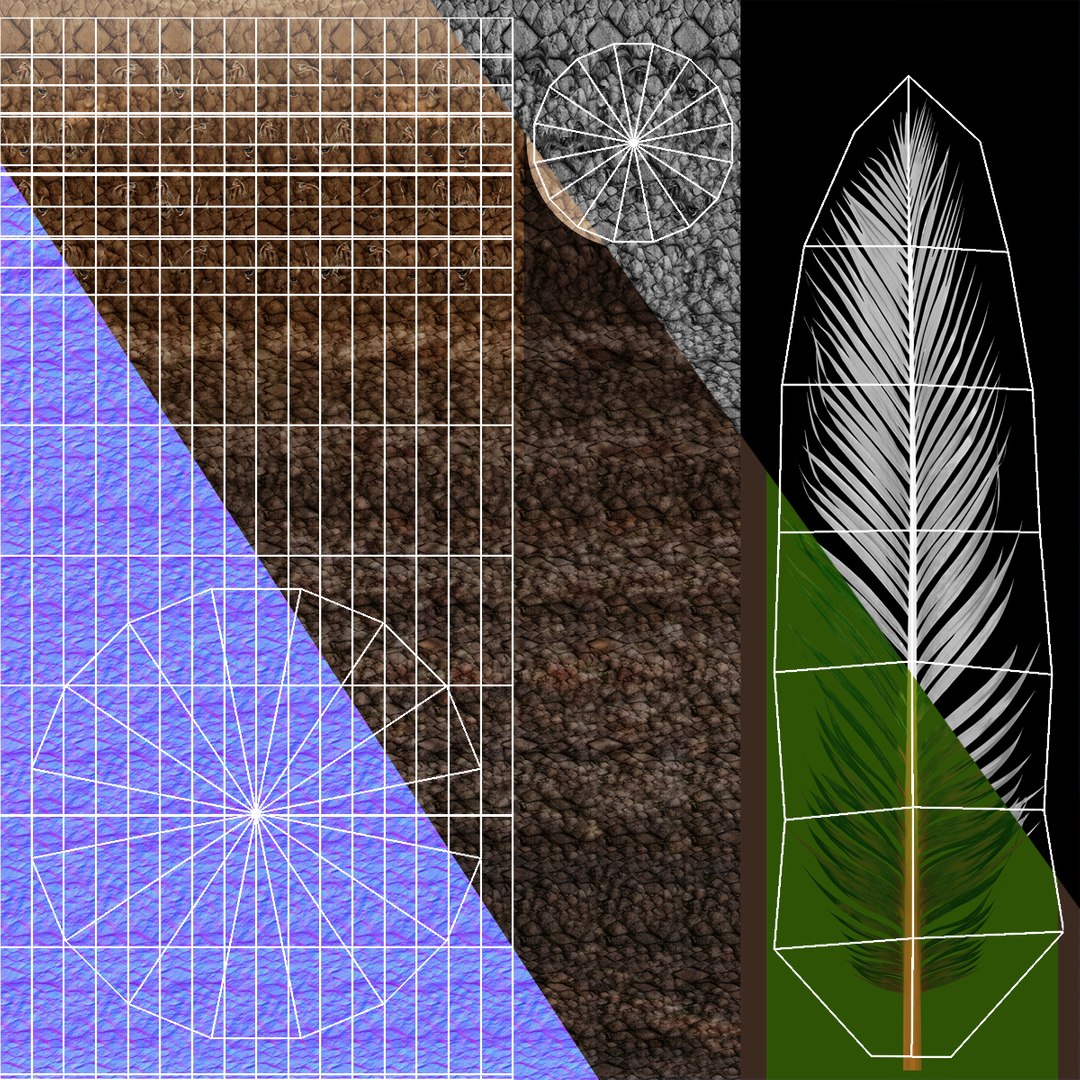 Low Poly Cycads Collection Model - TurboSquid 2016057