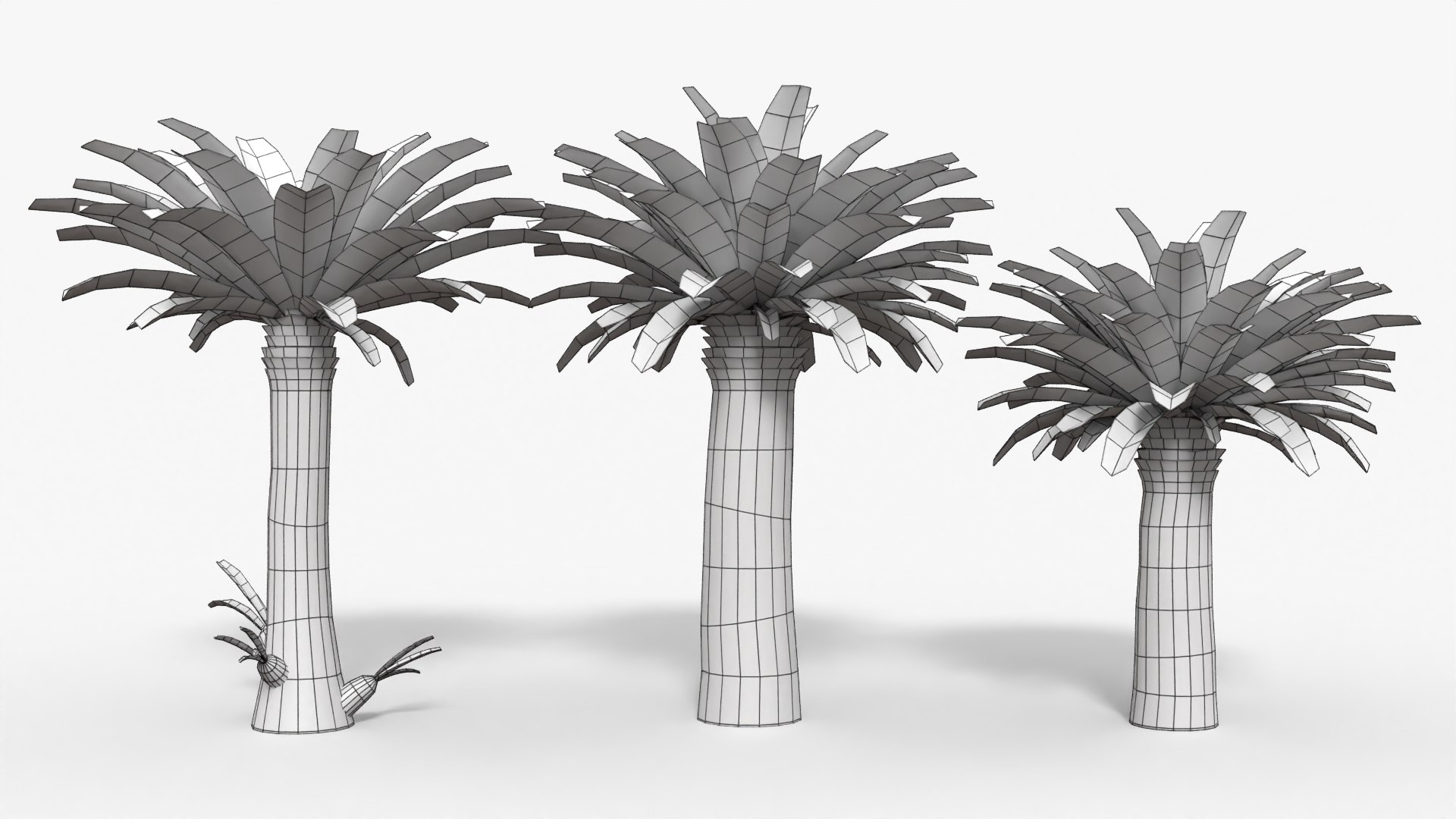 Low Poly Cycads Collection Model - TurboSquid 2016057