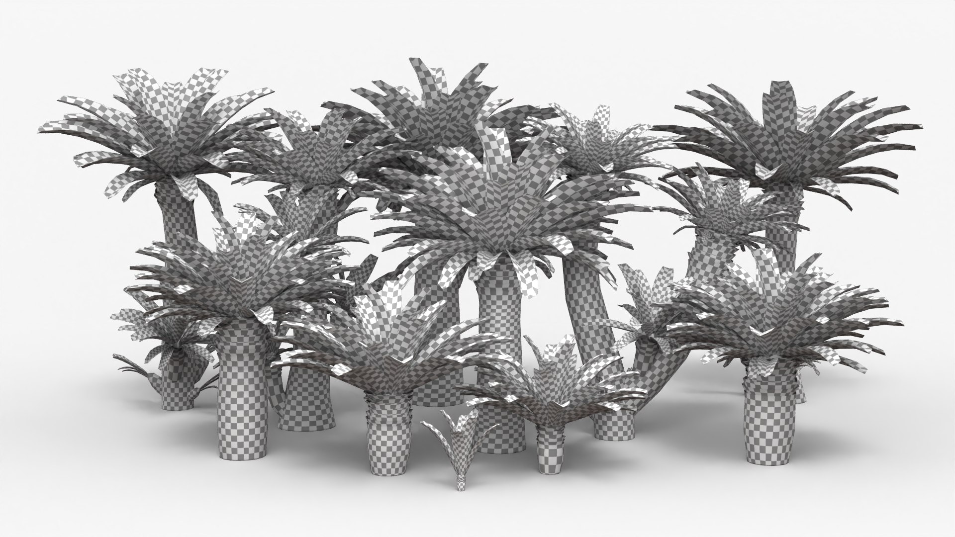 Low Poly Cycads Collection Model - TurboSquid 2016057