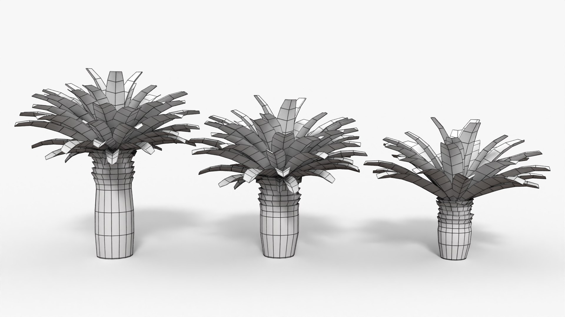 Low Poly Cycads Collection Model - TurboSquid 2016057