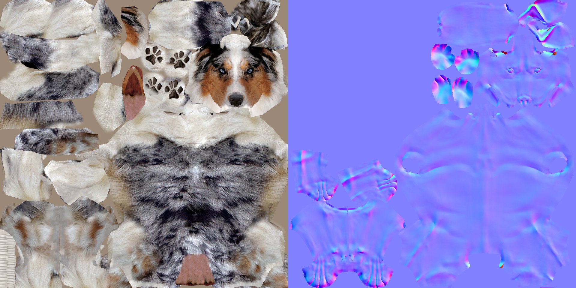 s dog australian shepard max https://p.turbosquid.com/ts-thumb/bw/TQwHok/4D7NhQ28/australiansheperdpreview09texture/jpg/1378806974/1920x1080/fit_q87/3a0b7a3843cb743f379c2e4949e78ca7708b69e6/australiansheperdpreview09texture.jpg