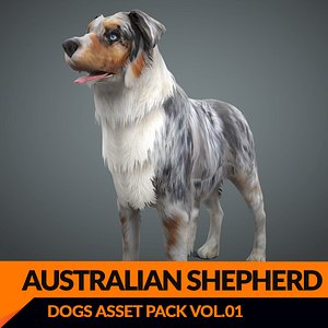 s dog australian shepard max