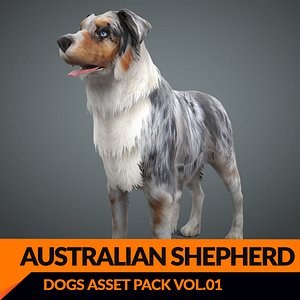 Real-Time Dog Australian Shepherd