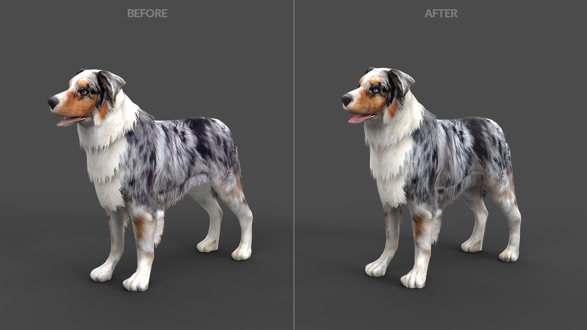 s dog australian shepard max https://p.turbosquid.com/ts-thumb/bw/TQwHok/rA/shepherdstaticset1920x10800101australianshepherdgrey/jpg/1773149203/1920x1080/fit_q87/e47f8c54ee5d5d77672243096c5a87c076498cf3/shepherdstaticset1920x10800101australianshepherdgrey.jpg