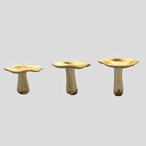 3D Hydnum Repandum Mushroom Low Poly