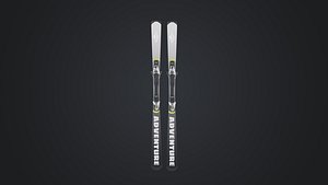 Skis 3D model
