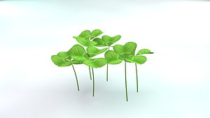 3D model clover