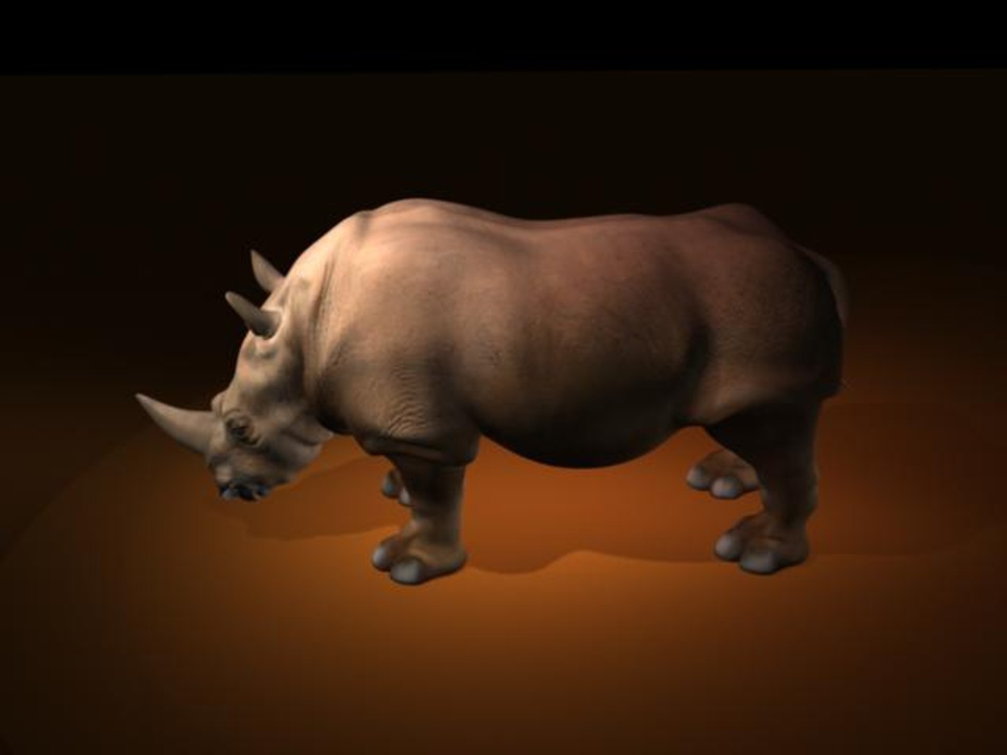 Rhinoceros 3d Model