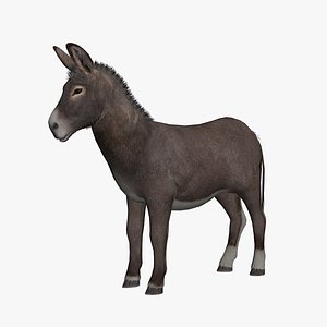 Animated donkey 3D