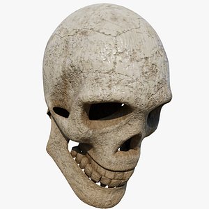 Crack Skull With PBR Unity Unreal Engine V-ray Arnold Textures Included