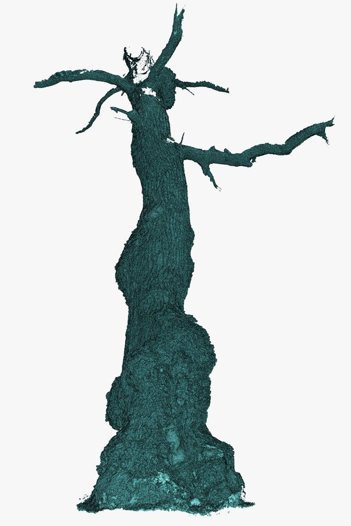 3D Ancient OAK Tree Trunk RAW 3D Scan https://p.turbosquid.com/ts-thumb/bw/maAqeC/Fu/oldoaktreetrunk3dscanmodelforsalesellpurshase16ktexture_6/jpg/1651433704/1920x1080/fit_q87/9c1b680225a1c75ccdac8d5f8302baf620191db7/oldoaktreetrunk3dscanmodelforsalesellpurshase16ktexture_6.jpg