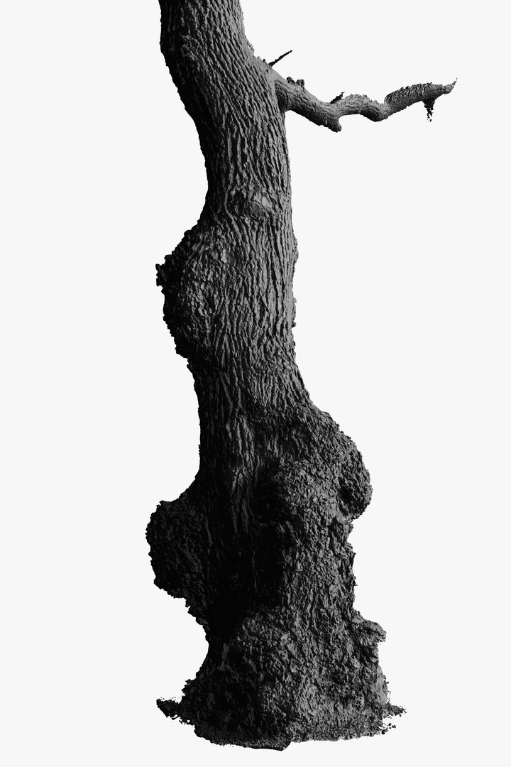 3D Ancient OAK Tree Trunk RAW 3D Scan https://p.turbosquid.com/ts-thumb/bw/maAqeC/r4/oldoaktreetrunk3dscanmodelforsalesellpurshase16ktexture_14/png/1651419200/1920x1080/fit_q87/d3af393479a46075cb30d9c69a1fc18ad45dfdaf/oldoaktreetrunk3dscanmodelforsalesellpurshase16ktexture_14.jpg