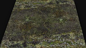 terrain ground grass bushes patch pt2 PBR photogrammetry 3D model