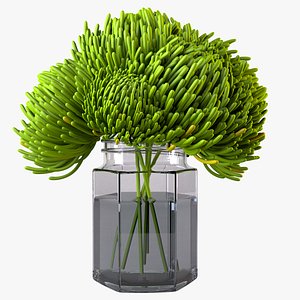 3D chrysanthemum model