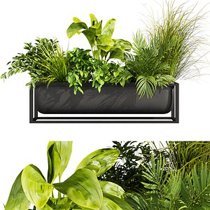 3D plant vol 736 - banana - palm - grass