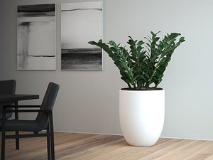 3D Zamifolia in Tall Round Planter model