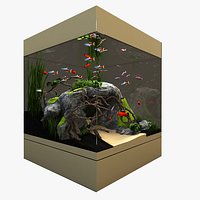 Natural Aquarium