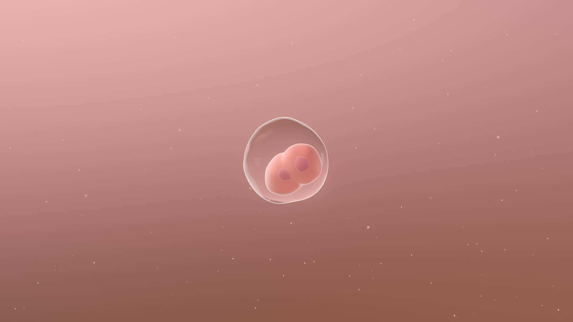 3D complete human egg fetus model https://p.turbosquid.com/ts-thumb/bx/NUeYJE/F5GPBeS8/mitosis/jpg/1590311330/1920x1080/turn_fit_q99/ae5a00d26fedb8cc69476e429e69922c4e760da9/mitosis-1.jpg