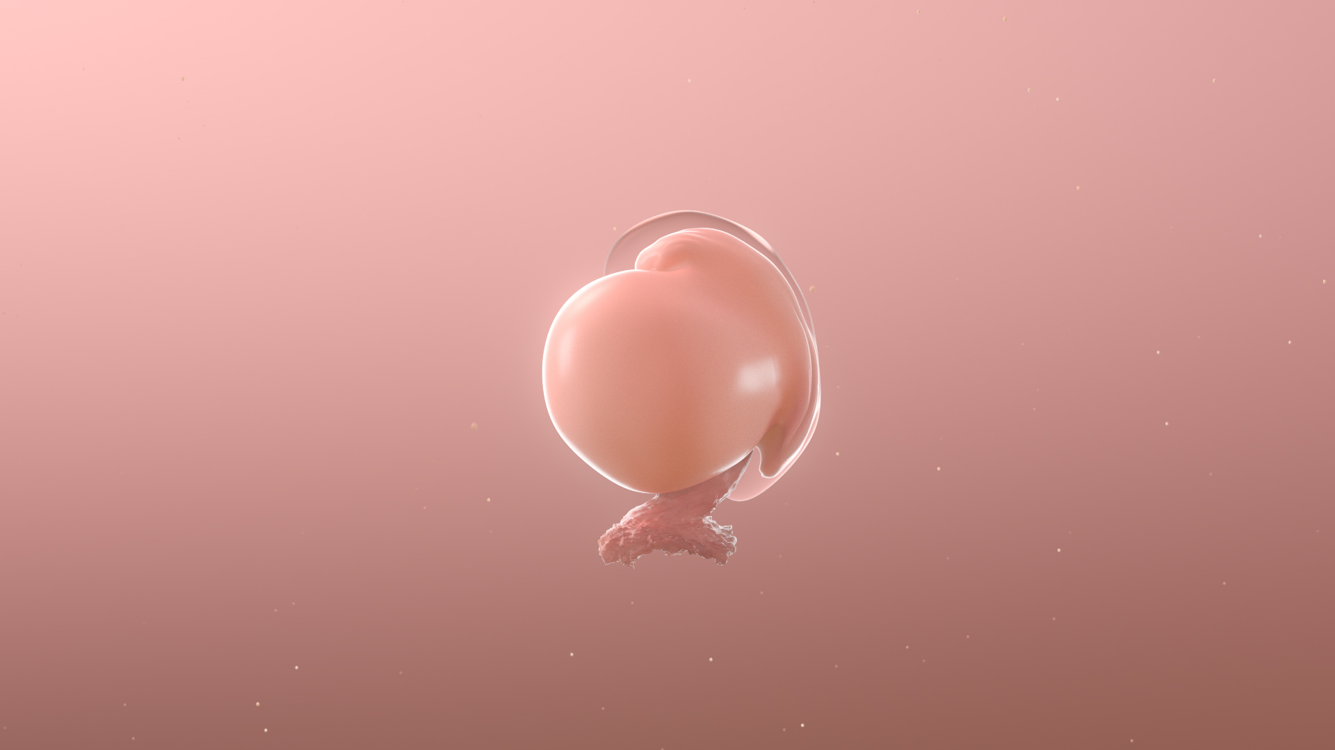 3D complete human egg fetus model https://p.turbosquid.com/ts-thumb/bx/NUeYJE/w4sogAS6/stage2/jpg/1592029261/1920x1080/turn_fit_q99/1e6031b8a2bd61a1de8a176d089ca82e99ce1472/stage2-1.jpg