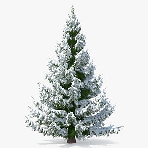 3D norway spruce heavy snow model