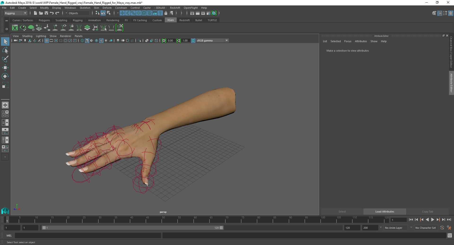 Woman Hand Rigged For Maya 3D Model - TurboSquid 2195400