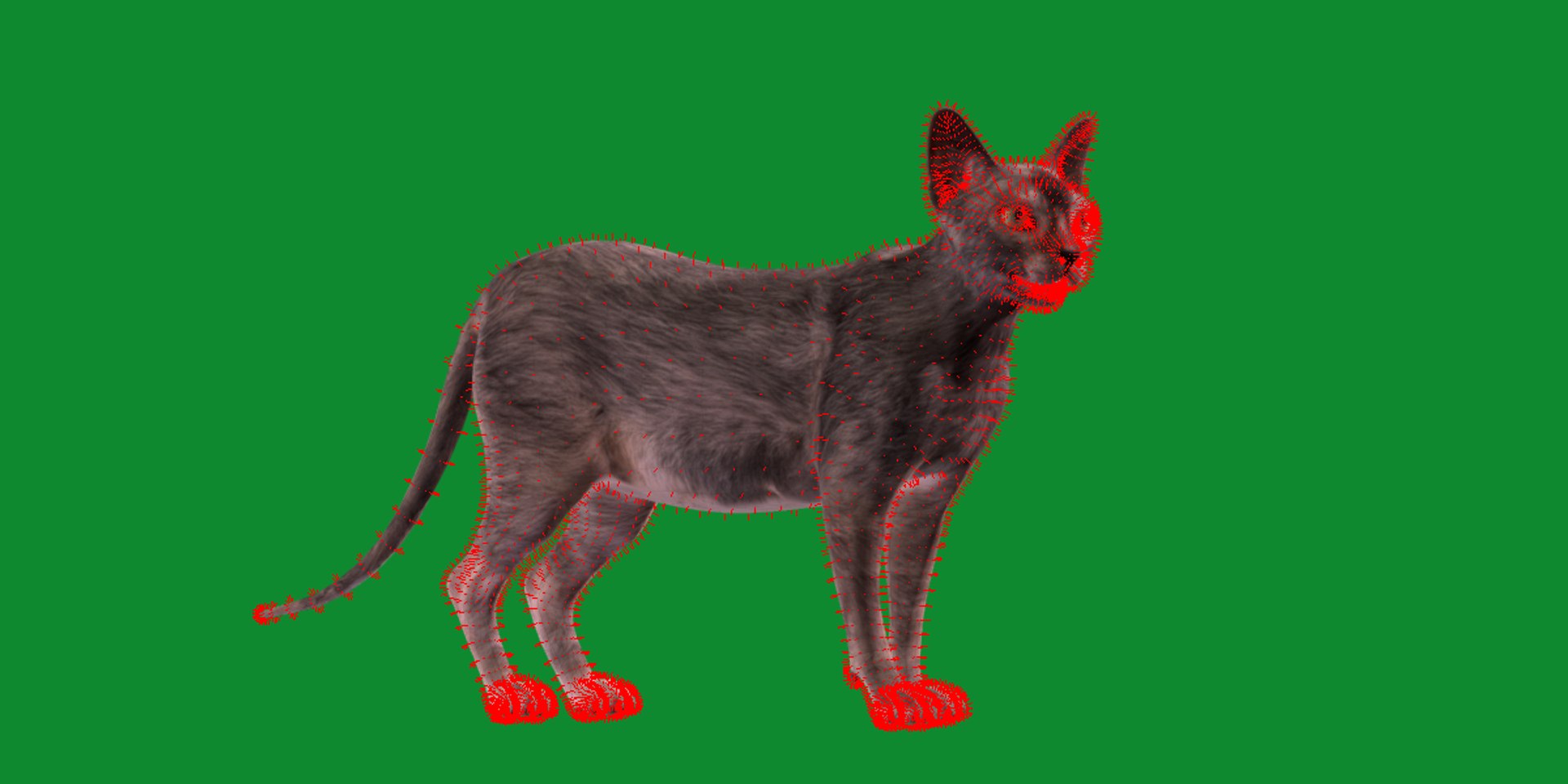 3D model Lykoi Cat https://p.turbosquid.com/ts-thumb/bx/fJGpyR/0O/lykoi22/png/1729326806/1920x1080/fit_q87/1937b06a6faf2e10474633c365e0c1dce1d57313/lykoi22.jpg