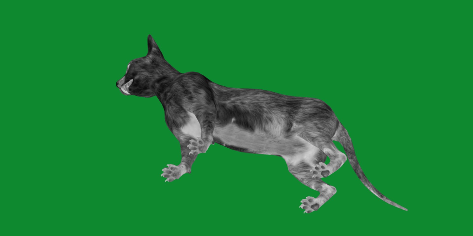 3D model Lykoi Cat https://p.turbosquid.com/ts-thumb/bx/fJGpyR/5I/lykoi16/png/1729326801/1920x1080/fit_q87/8428ffb33b76ef997c26d06a338c1725cad76f24/lykoi16.jpg