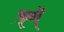 Gato Lykoi