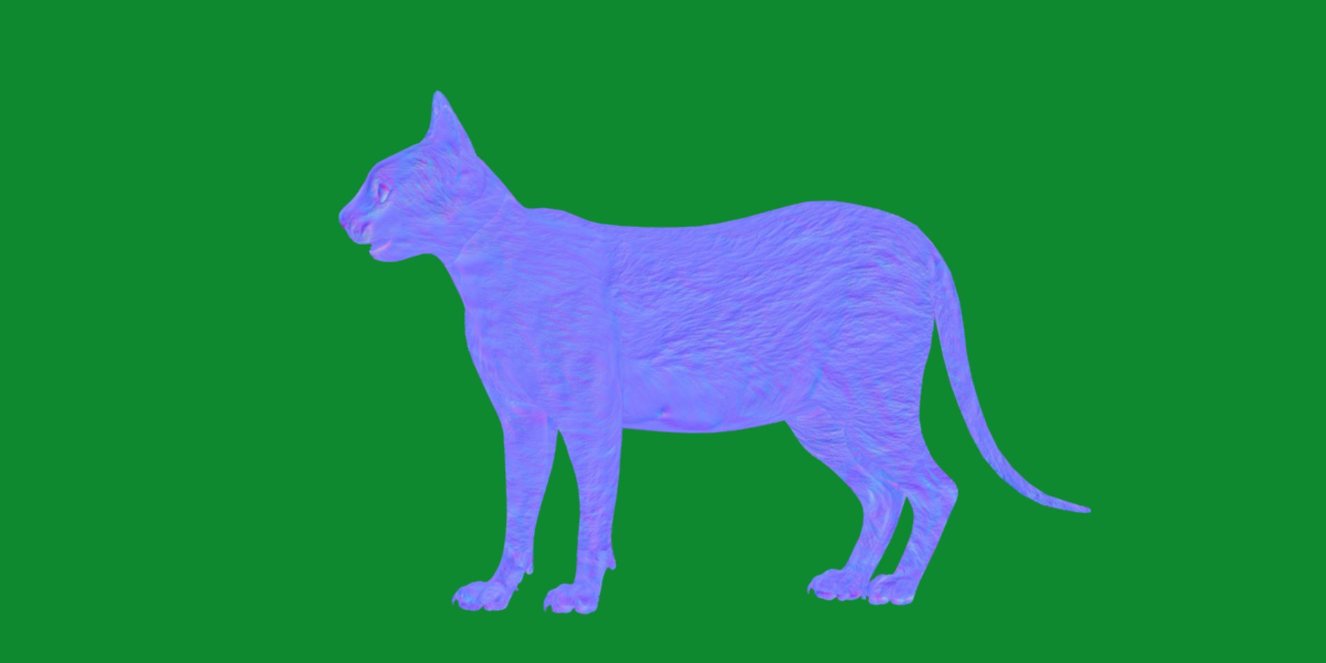 3D model Lykoi Cat https://p.turbosquid.com/ts-thumb/bx/fJGpyR/X9/lykoi7/png/1729326837/1920x1080/fit_q87/5eac44171768d2e858e3febb8ce8b23cf0c4792a/lykoi7.jpg