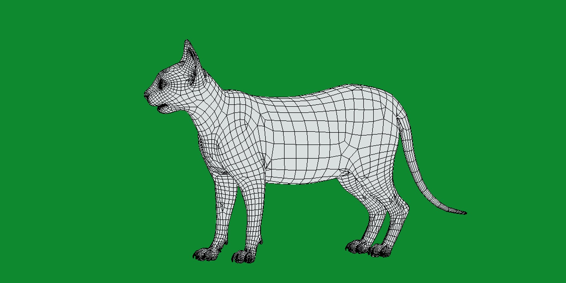 3D model Lykoi Cat https://p.turbosquid.com/ts-thumb/bx/fJGpyR/sm/lykoi13/png/1729326842/1920x1080/fit_q87/a116764bce9e5c17b67eab335b8bef24ea94f51c/lykoi13.jpg