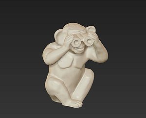 blind monkey 008